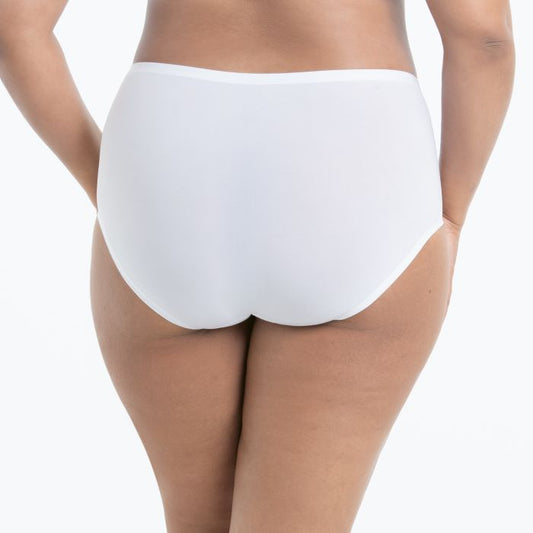 Anita Comfort High Waist Brief