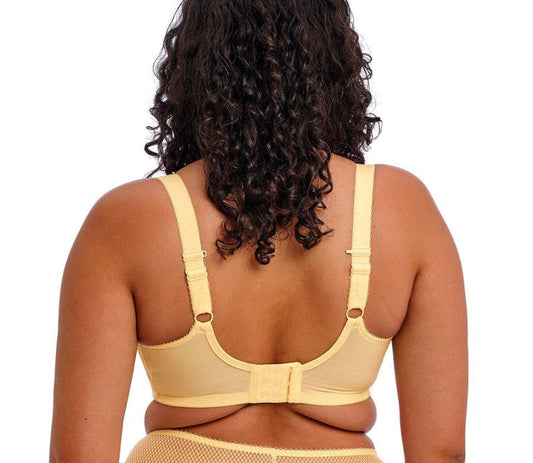 Elomi Charley Lemon Fizz back view