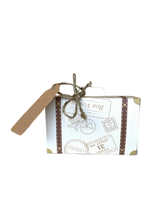 Travel_with_Washdolly