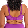 Elomi Cate Full Cup Banded Bra - Dahlia Purple