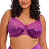 Elomi Cate Full Cup Banded Bra - Dahlia Purple