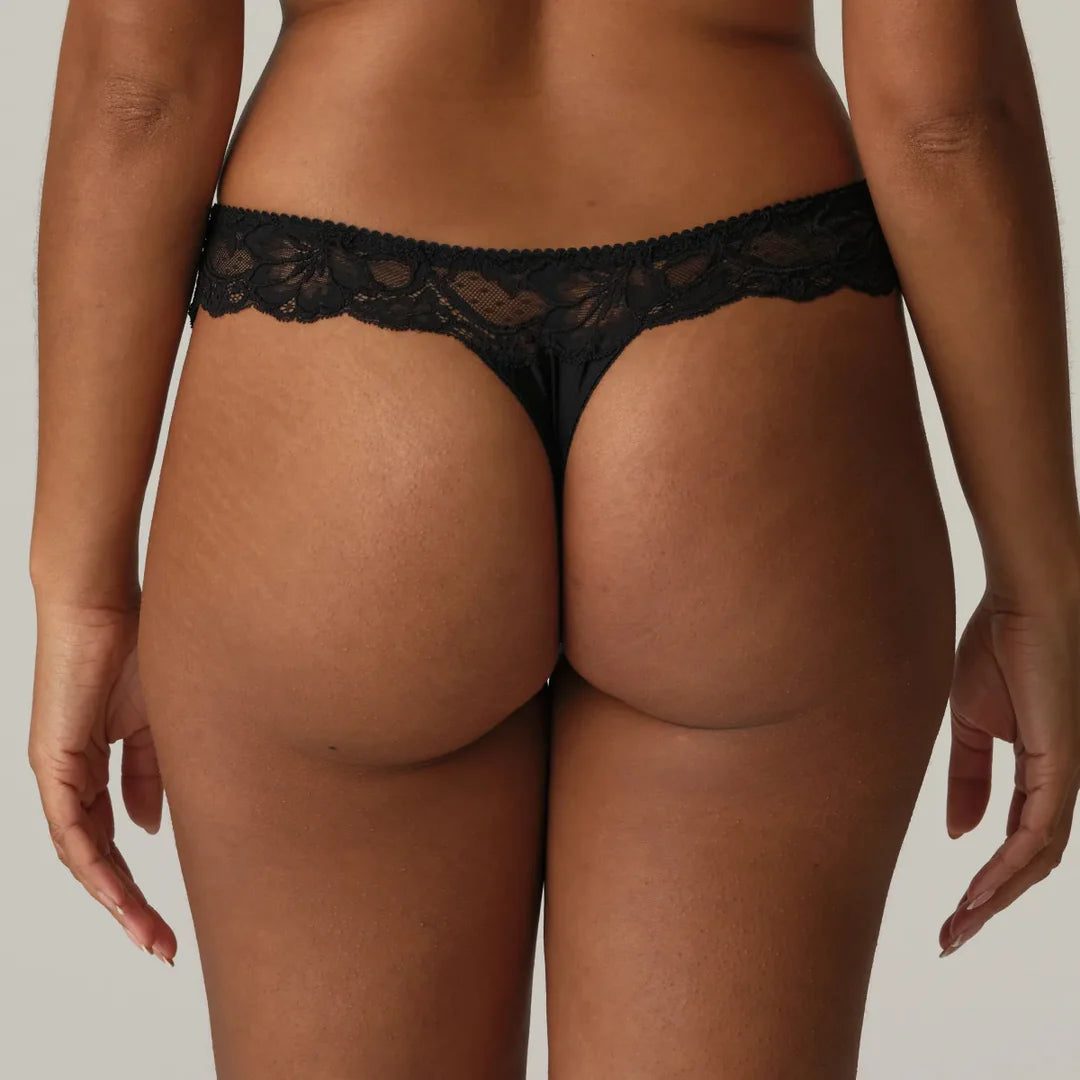 Prima Donna Madison Thong - Black Tailor - Fashion