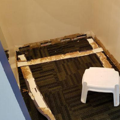 New Arrivals and some video of our post-flood restorations!