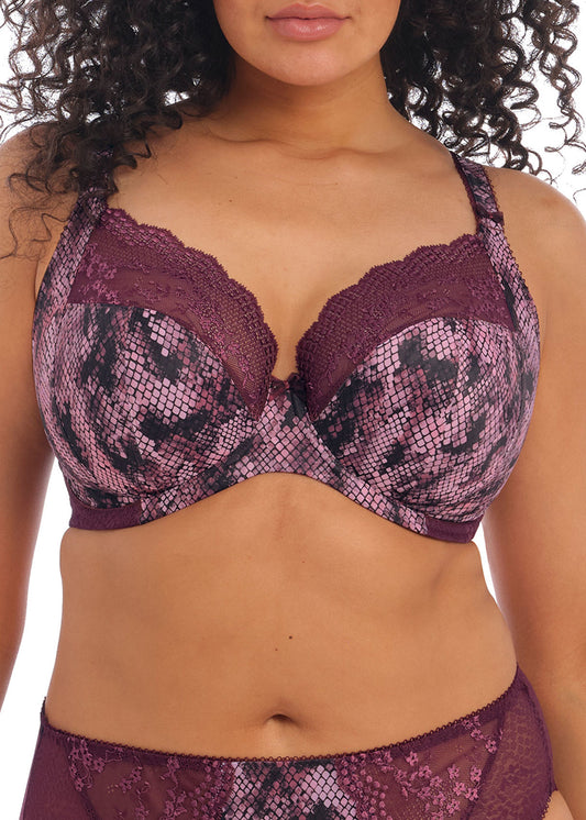 Elomi Lucie Underwire Plunge Bra - Mambo - Fashion