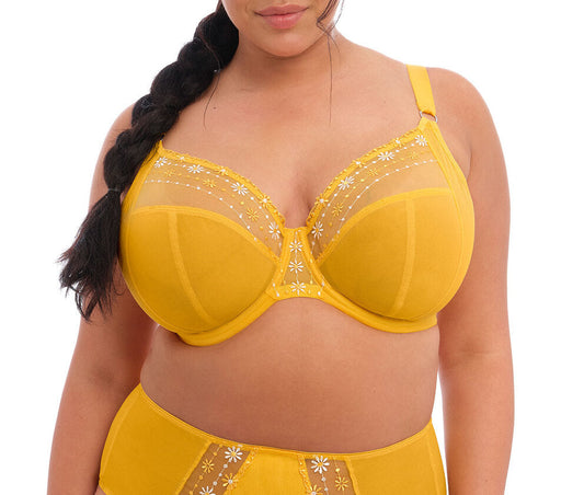Elomi Matilda Underwire Plunge Bra - Daisy - SALE