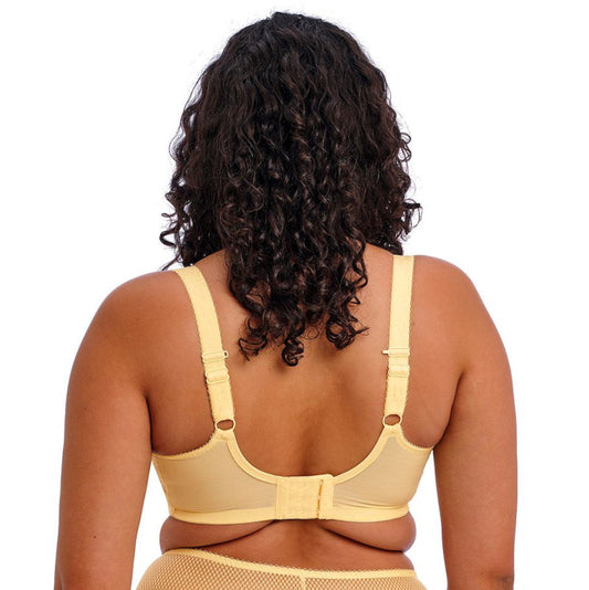 Elomi Charley Lemon Fizz back view