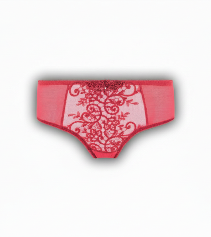 Red lace underwear on a white background