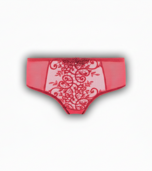 Red lace underwear on a white background
