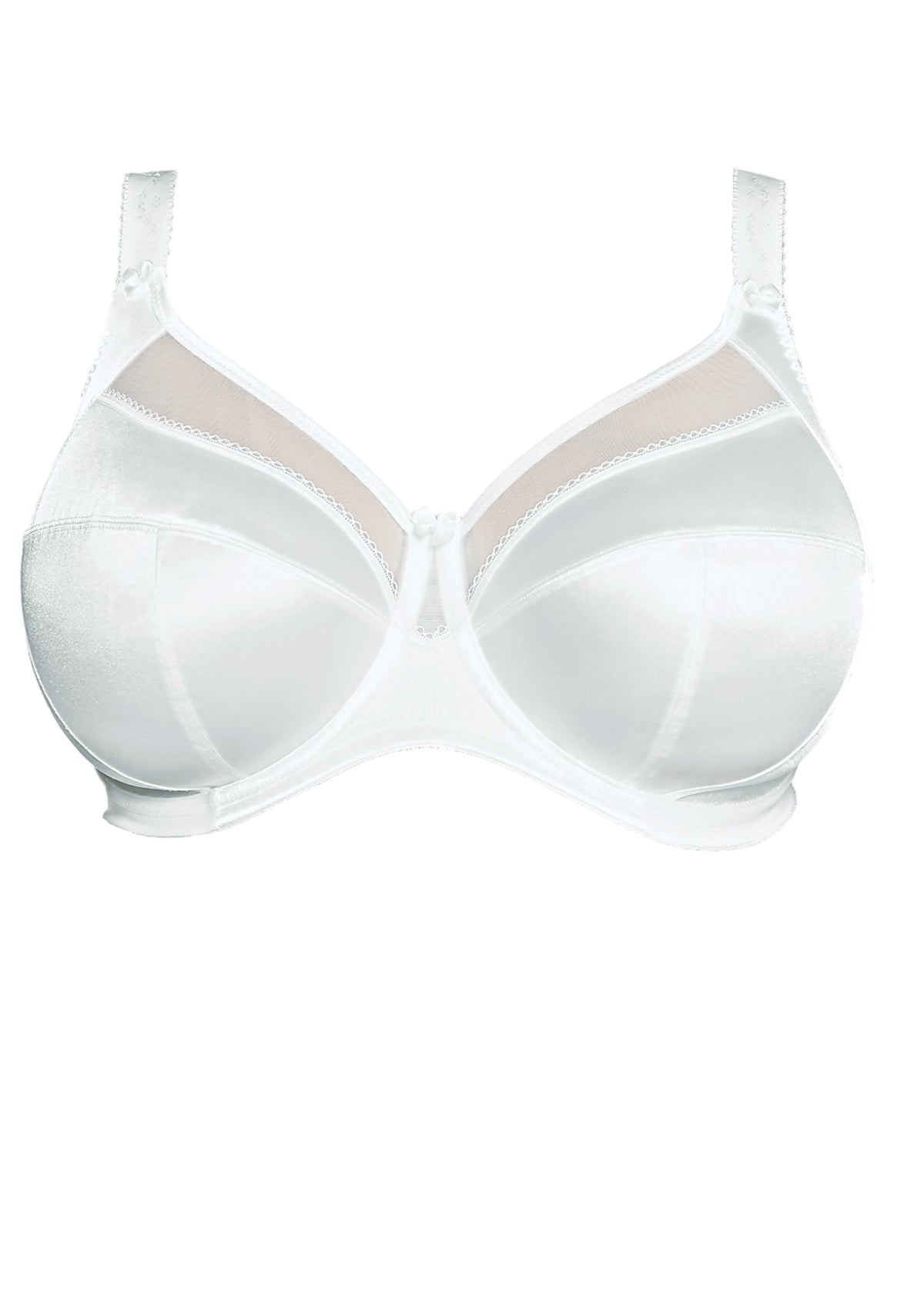 White bra on a white background