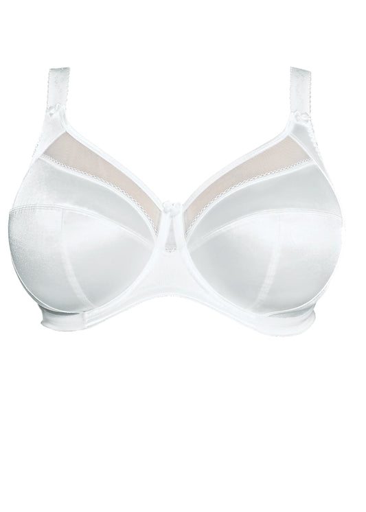 White bra on a white background
