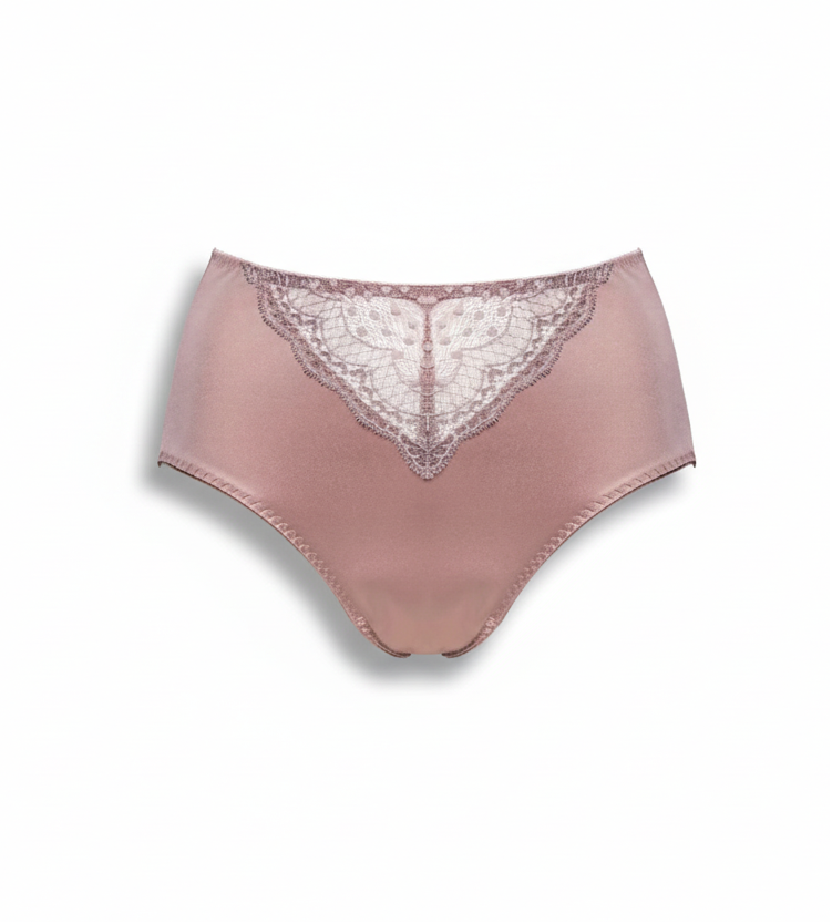 Ulla Josy High Waist Briefs