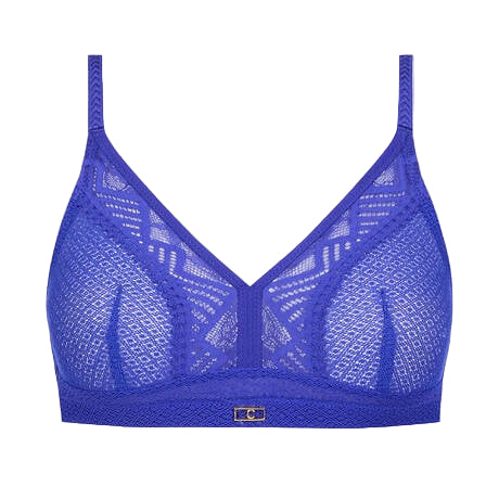Blue lace bra on a white background