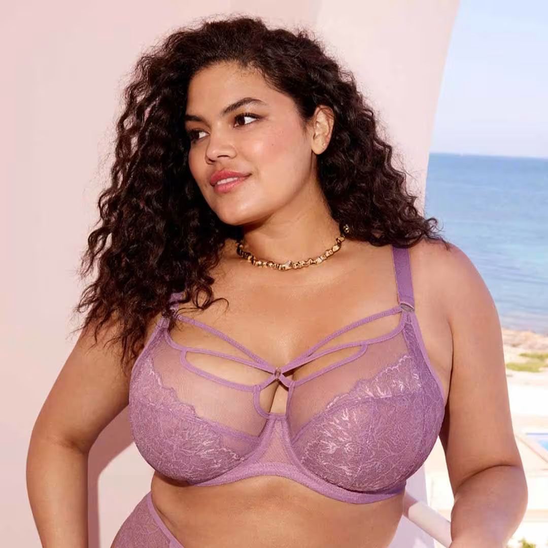 Elomi Brianna Underwire Plunge Bra - Heather - Fashion
